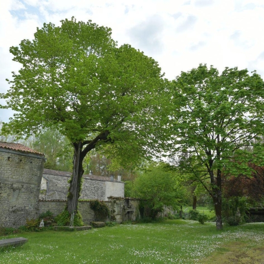  Annonces LAROCHELLE : Maison / Villa | SURGERES (17700) | 293 m2 | 395 000 € 