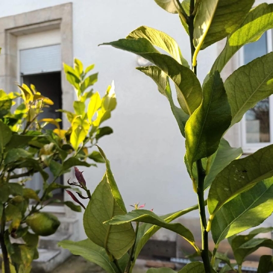  Marie-Paule GUILLEMET immobilier : Apartment | LA ROCHELLE (17000) | 32 m2 | 241 280 € 