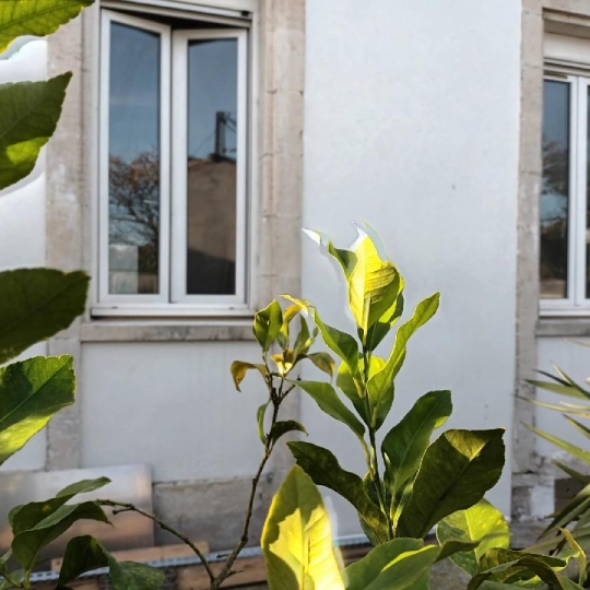  Marie-Paule GUILLEMET immobilier : Apartment | LA ROCHELLE (17000) | 32 m2 | 241 280 € 
