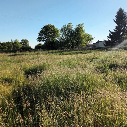Marie-Paule GUILLEMET immobilier : Ground | LE MUNG (17350) | 836.00m2 | 34 995 € 