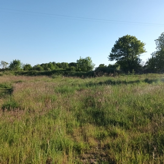 Marie-Paule GUILLEMET immobilier : Ground | LE MUNG (17350) | 723.00m2 | 27 172 € 
