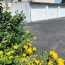  Marie-Paule GUILLEMET immobilier : Apartment | LA ROCHELLE (17000) | 63 m2 | 206 500 € 