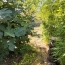  Marie-Paule GUILLEMET immobilier : Ground | LA ROCHELLE (17000) | 0 m2 | 375 000 € 
