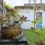  Marie-Paule GUILLEMET immobilier : Maison / Villa | LA ROCHELLE (17000) | 98 m2 | 645 000 € 