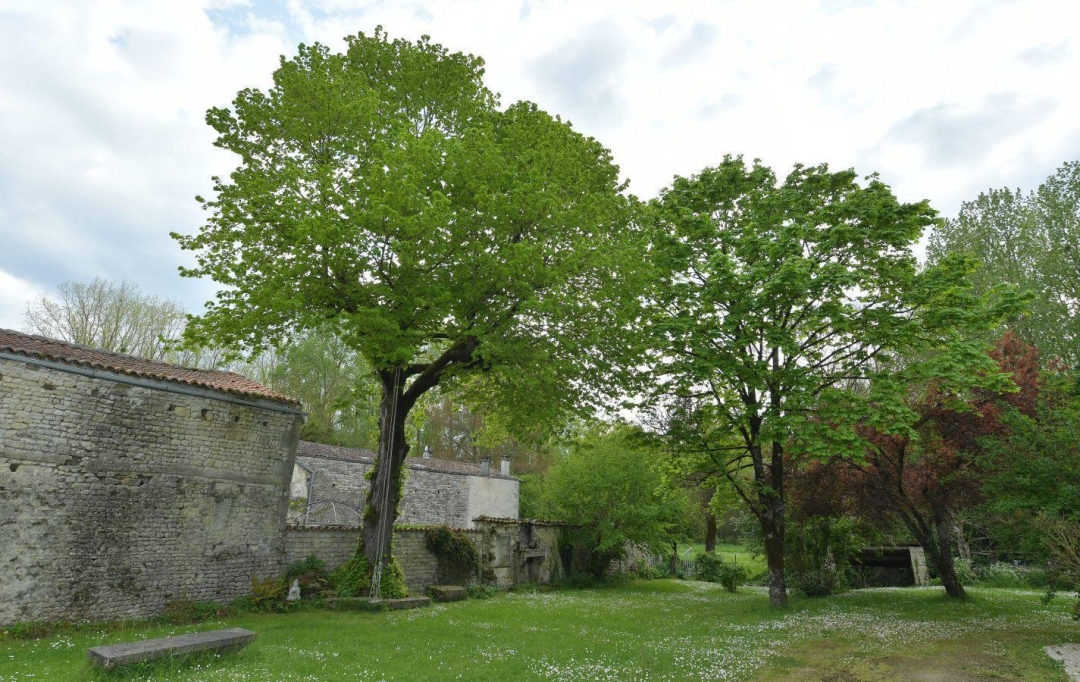 Marie-Paule GUILLEMET immobilier : Maison / Villa | SURGERES (17700) | 293 m2 | 395 000 € 