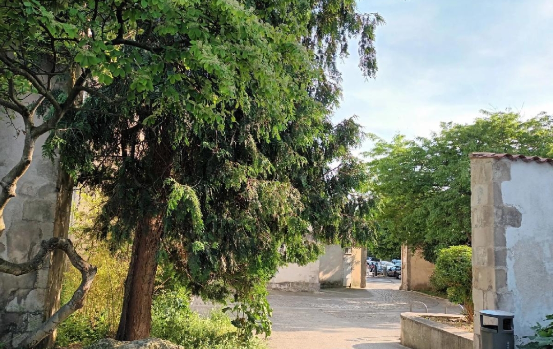Marie-Paule GUILLEMET immobilier : Apartment | LA ROCHELLE (17000) | 42 m2 | 262 500 € 