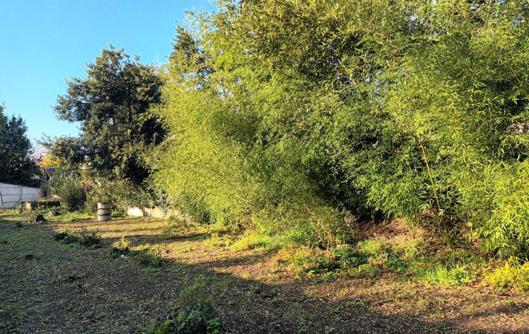 Marie-Paule GUILLEMET immobilier : Ground | LA ROCHELLE (17000) | 0 m2 | 375 000 € 