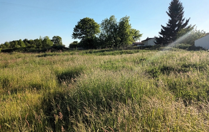 Marie-Paule GUILLEMET immobilier Ground | LE MUNG (17350) | 836 m2 | 34 995 € 
