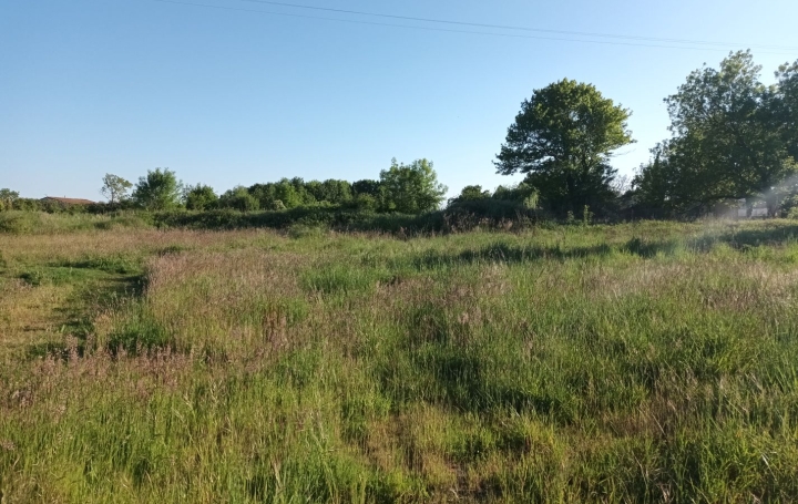  Marie-Paule GUILLEMET immobilier Ground | LE MUNG (17350) | 723 m2 | 27 172 € 